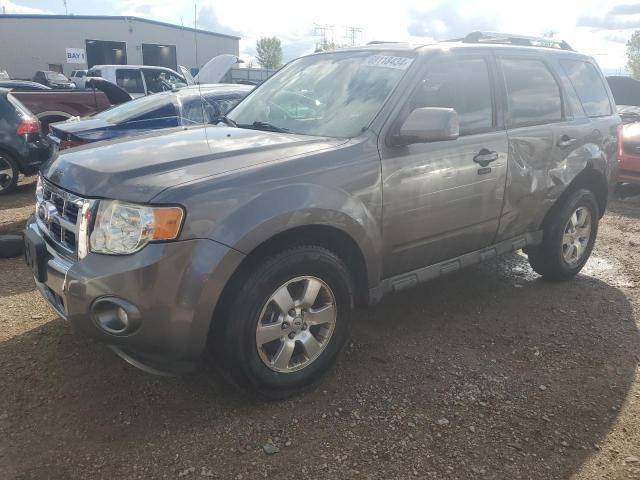 FORD ESCAPE LIM 2010 with VIN 1FMCU0E74AKC50432 - Photo from auction