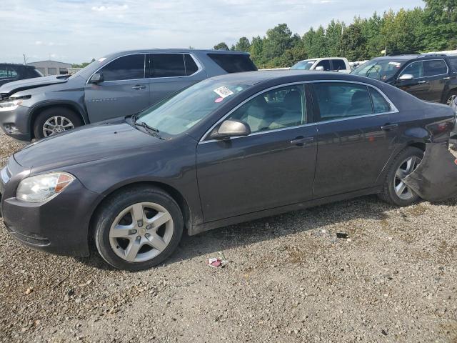 CHEVROLET MALIBU LS 2011 with VIN 1G1ZB5E18BF253334 - Photo from auction