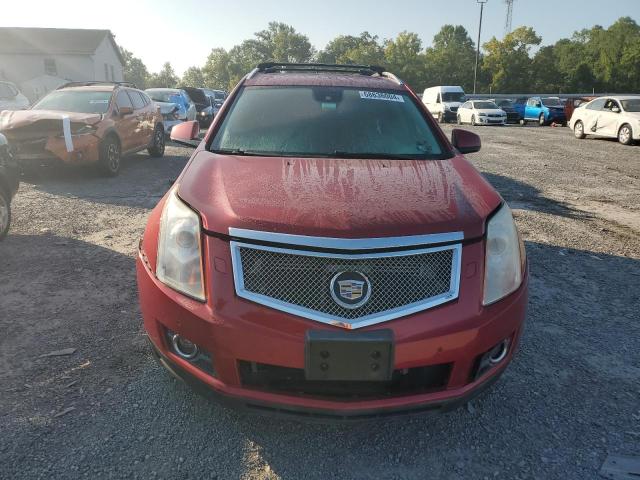 Photo 5 from auction – 2011 CADILLAC SRX PREMIU with VIN 3GYFNFE64BS500034