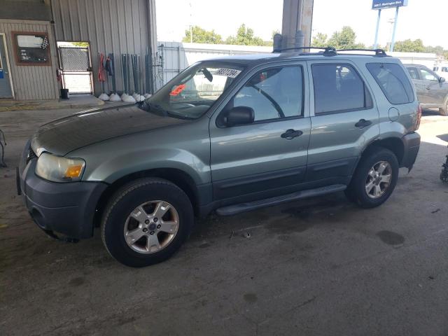 FORD ESCAPE XLT 2006 with VIN 1FMCU93166KD40174 - Photo from auction