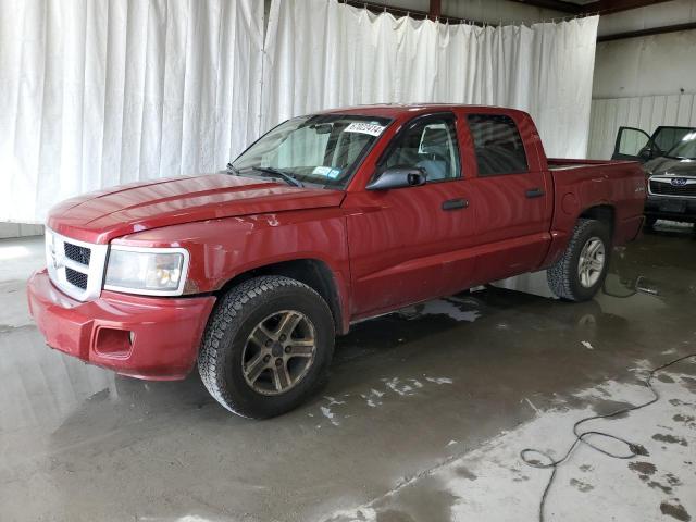 DODGE DAKOTA SXT 2010 with VIN 1D7CW3GKXAS264293 - Photo from auction