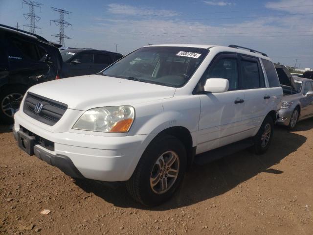 HONDA PILOT EXL 2005 with VIN 5FNYF18645B019692 - Photo from auction