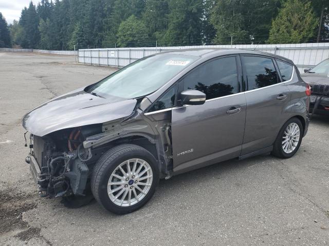 FORD C-MAX SEL 2014 with VIN 1FADP5BU4EL507912 - Photo from auction