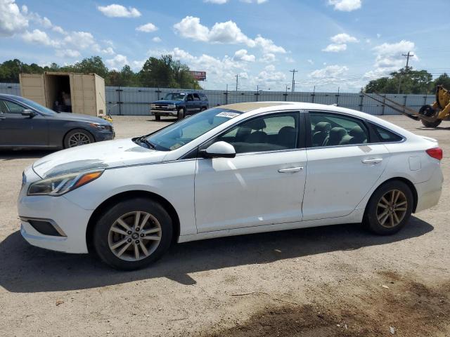 HYUNDAI SONATA SE 2016 with VIN 5NPE24AF3GH372939 - Photo from auction
