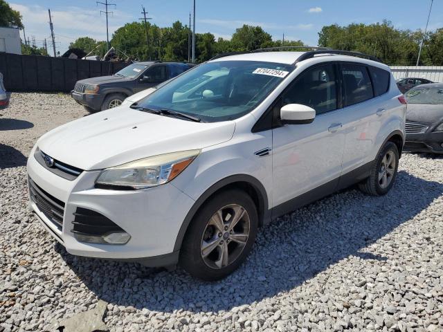 FORD ESCAPE SE 2014 with VIN 1FMCU0G90EUC06436 - Photo from auction