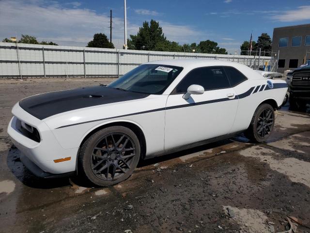 DODGE CHALLENGER 2014 with VIN 2C3CDYAG8EH225186 - Photo from auction