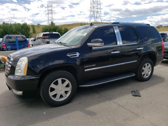 CADILLAC ESCALADE 2010 with VIN 1GYUKAEF9AR168385 - Photo from auction