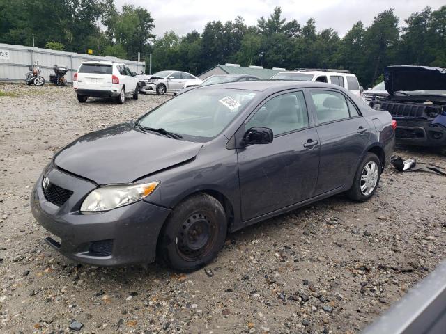 TOYOTA COROLLA BA 2010 with VIN 2T1BU4EE2AC316502 - Photo from auction