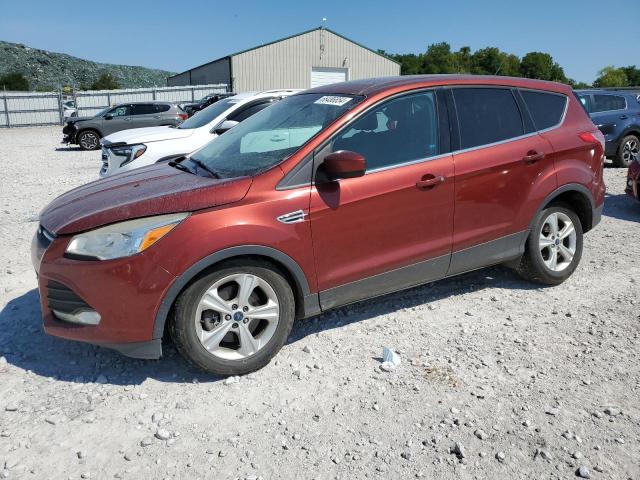 FORD ESCAPE SE 2014 with VIN 1FMCU9GX7EUB65399 - Photo from auction