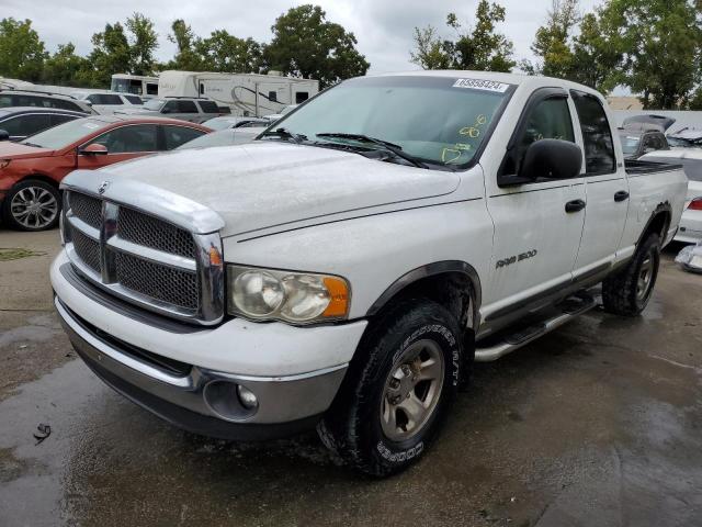 DODGE RAM 1500 2002 with VIN 3D7HU18N12G143542 - Photo from auction