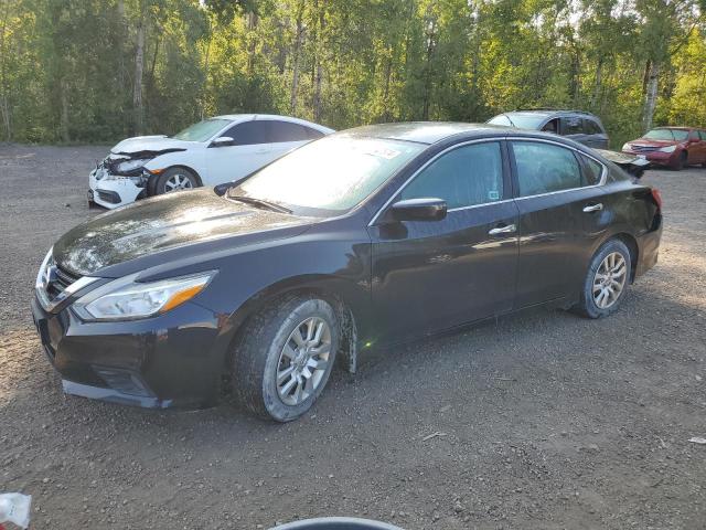 NISSAN ALTIMA 2.5 2016 with VIN 1N4AL3AP3GN369169 - Photo from auction