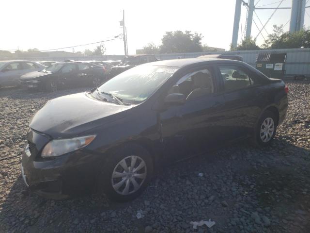 TOYOTA COROLLA 2010 with VIN 2T1BU4EE2AC306178 - Photo from auction