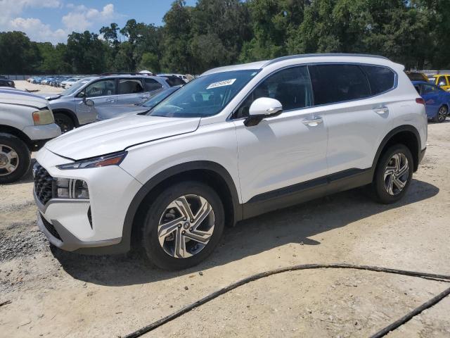 HYUNDAI SANTA FE S 2023 with VIN 5NMS24AJ2PH601499 - Photo from auction