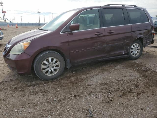 HONDA ODYSSEY EX 2009 with VIN 5FNRL38459B021805 - Photo from auction