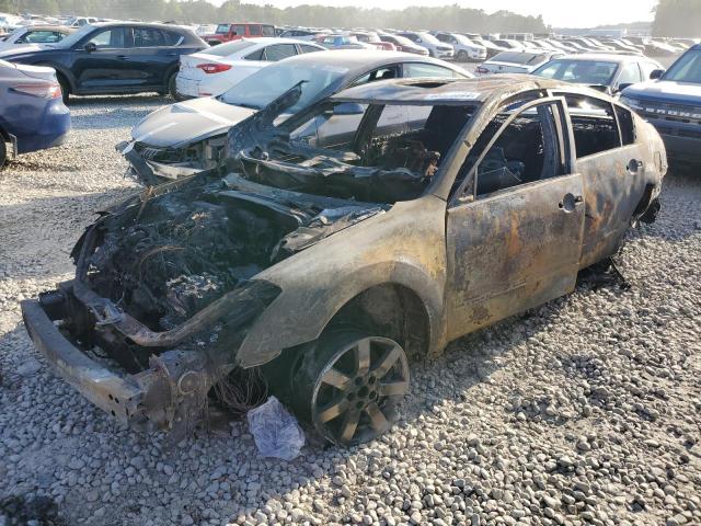 NISSAN MAXIMA SE 2004 with VIN 1N4BA41E34C868821 - Photo from auction