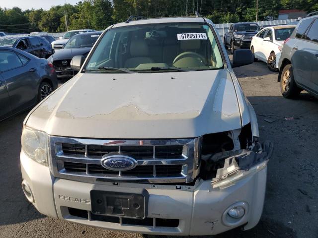 Photo 5 from auction – 2008 FORD ESCAPE XLT with VIN 1FMCU03128KB34204