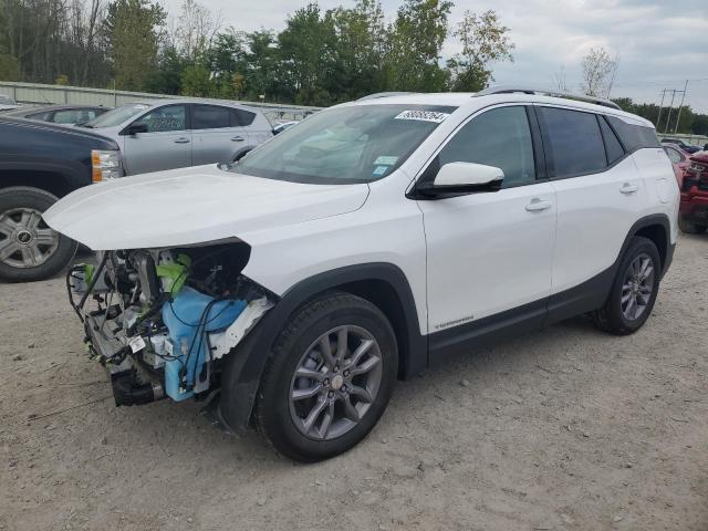 GMC TERRAIN SL 2023 with VIN 3GKALPEGXPL132078 - Photo from auction