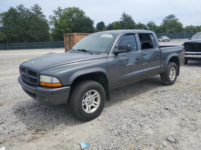 DODGE DAKOTA QUA 2003 with VIN 1D7HG38N73S198719 - Photo from auction
