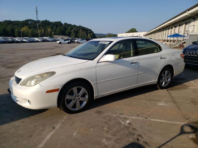 LEXUS ES 330 2005 with VIN JTHBA30G155118281 - Photo from auction