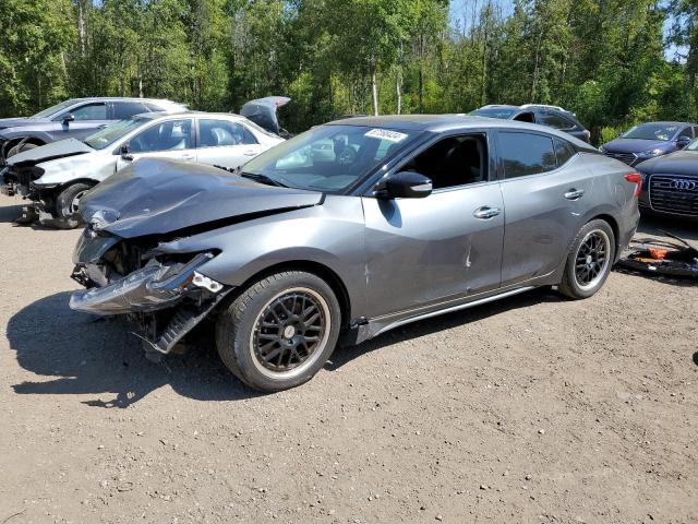 NISSAN MAXIMA 3.5 2017 with VIN 1N4AA6AP0HC430904 - Photo from auction