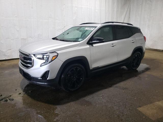 GMC TERRAIN SL 2020 with VIN 3GKALVEV0LL275067 - Photo from auction