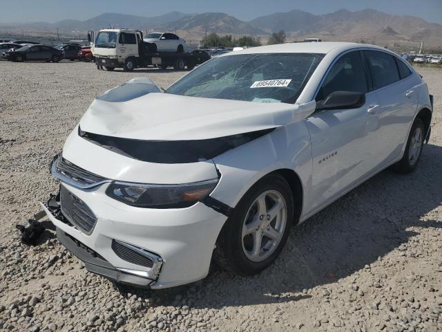 CHEVROLET MALIBU LS 2017 with VIN 1G1ZB5ST0HF103894 - Photo from auction