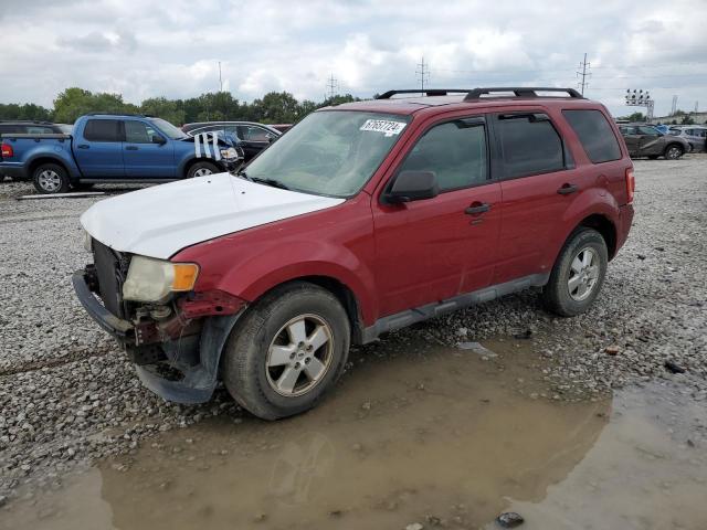 FORD ESCAPE XLT 2011 with VIN 1FMCU9DG1BKB96420 - Photo from auction