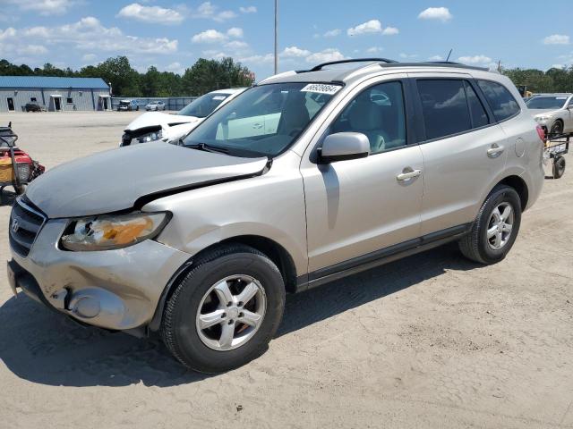 HYUNDAI SANTA FE G 2007 with VIN 5NMSG13D57H096663 - Photo from auction