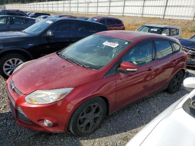 FORD FOCUS SE 2014 with VIN 1FADP3K24EL199935 - Photo from auction