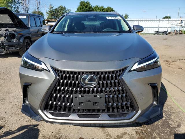 Photo 5 from auction – 2023 LEXUS NX 250 with VIN 2T2ADCEZ2PC003530
