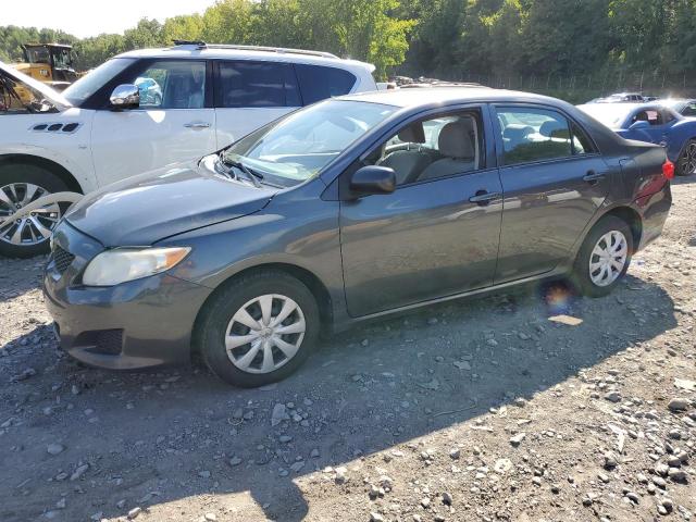 TOYOTA COROLLA BA 2010 with VIN 2T1BU4EEXAC424964 - Photo from auction