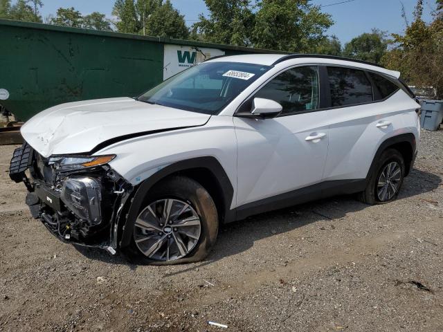 HYUNDAI TUCSON BLU 2024 with VIN KM8JBCD18RU195267 - Photo from auction