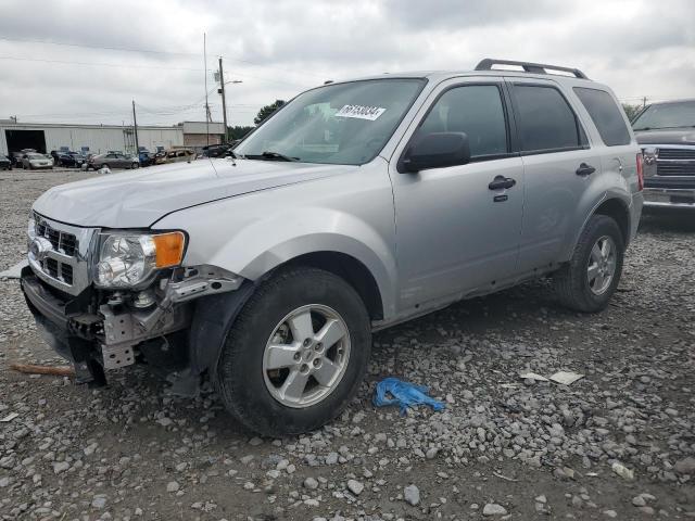 FORD ESCAPE XLT 2010 with VIN 1FMCU0DGXAKB81604 - Photo from auction