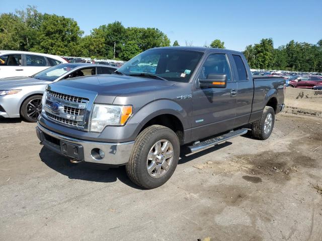 FORD F150 SUPER 2014 with VIN 1FTFX1ET5EFA34924 - Photo from auction