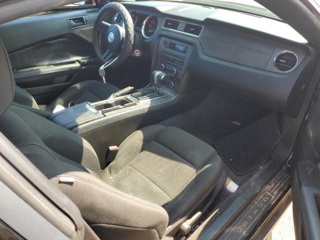 Photo 8 from auction – 2011 FORD MUSTANG with VIN 1ZVBP8AM4B5117071