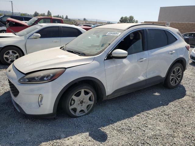 FORD ESCAPE SEL 2020 with VIN 1FMCU0H60LUA81083 - Photo from auction