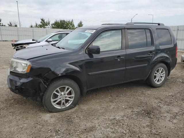 HONDA PILOT EXL 2011 with VIN 5FNYF4H57BB502890 - Photo from auction