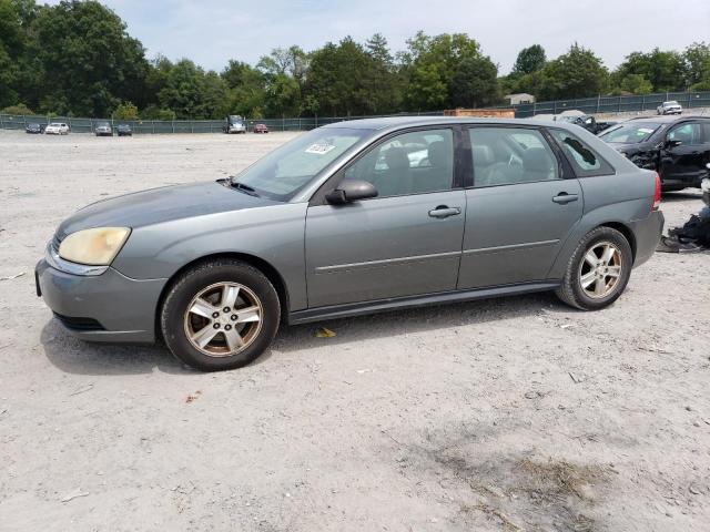 CHEVROLET MALIBU MAX 2005 with VIN 1G1ZT62885F171046 - Photo from auction