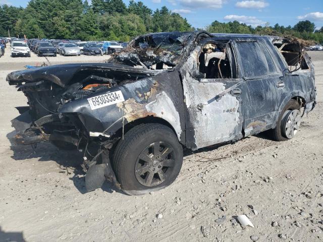 FORD EXPEDITION 2010 with VIN 1FMJU1G55AEB65218 - Photo from auction