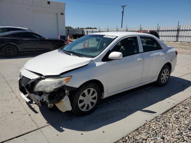 TOYOTA COROLLA BA 2009 with VIN 2T1BU40E89C173865 - Photo from auction