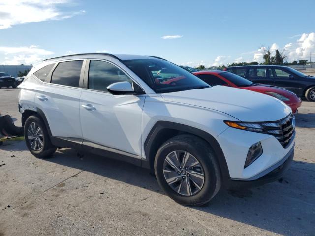 Photo 4 from auction – 2023 HYUNDAI TUCSON BLU with VIN KM8JBCA12PU123787