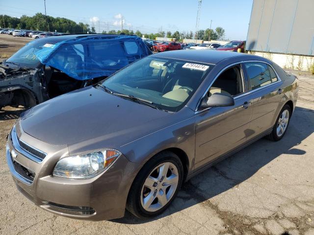 CHEVROLET MALIBU LS 2012 with VIN 1G1ZB5E08CF205230 - Photo from auction