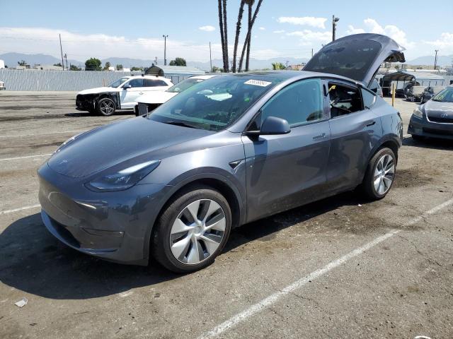 TESLA MODEL Y 2023 with VIN 7SAYGDEE3PF881589 - Photo from auction
