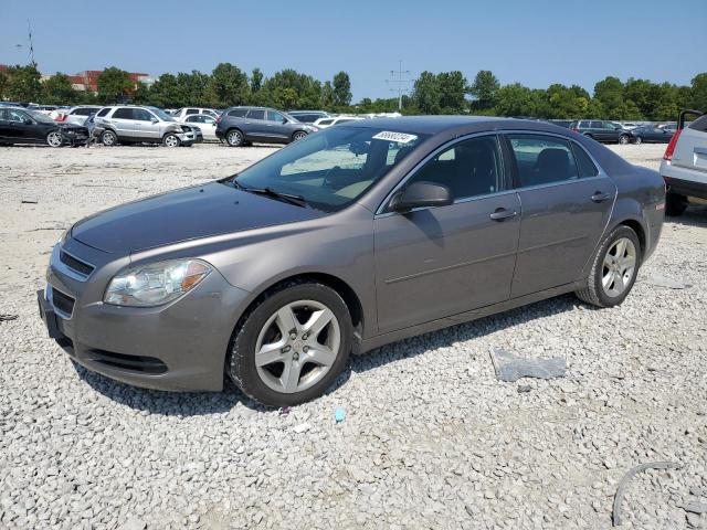 CHEVROLET MALIBU LS 2012 with VIN 1G1ZB5E0XCF172361 - Photo from auction