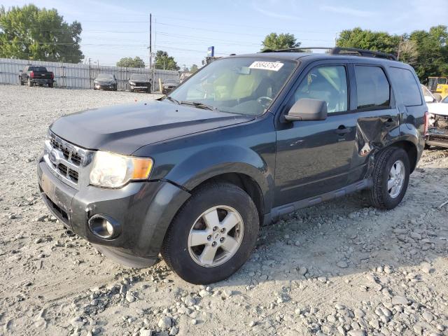 FORD ESCAPE 4D 2009 with VIN 1FMCU03G09KA22782 - Photo from auction