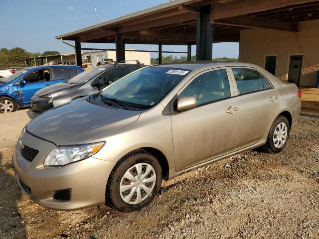 TOYOTA COROLLA BA 2010 with VIN 1NXBU4EE8AZ267644 - Photo from auction
