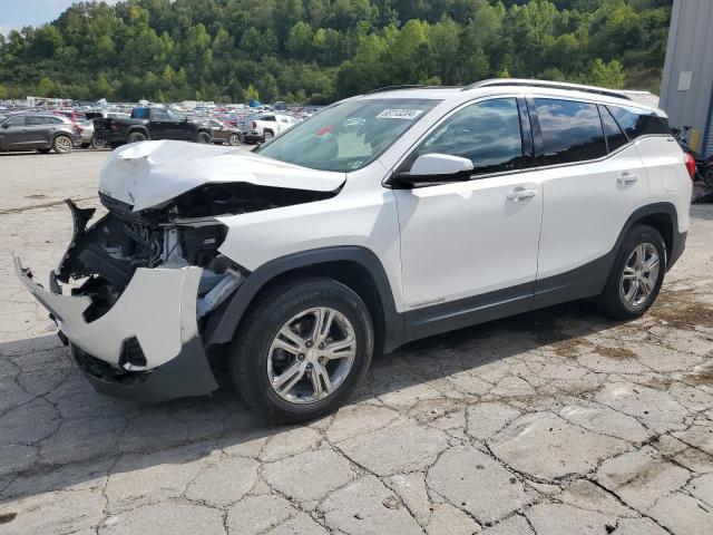 GMC TERRAIN SL 2019 with VIN 3GKALTEV2KL217223 - Photo from auction