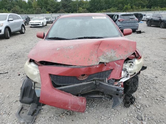 Photo 5 from auction – 2010 TOYOTA COROALLA with VIN 1NXBU4EEXAZ281903