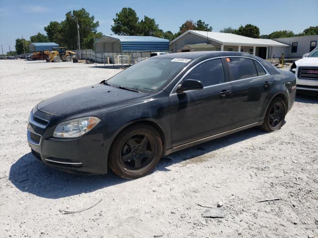 CHEVROLET MALIBU 1LT 2010 with VIN 1G1ZC5EB7AF265737 - Photo from auction