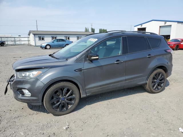 FORD ESCAPE TIT 2017 with VIN 1FMCU9JD2HUC83539 - Photo from auction